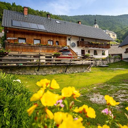 Apartments Kocjanc Bohinj Eksteriør billede