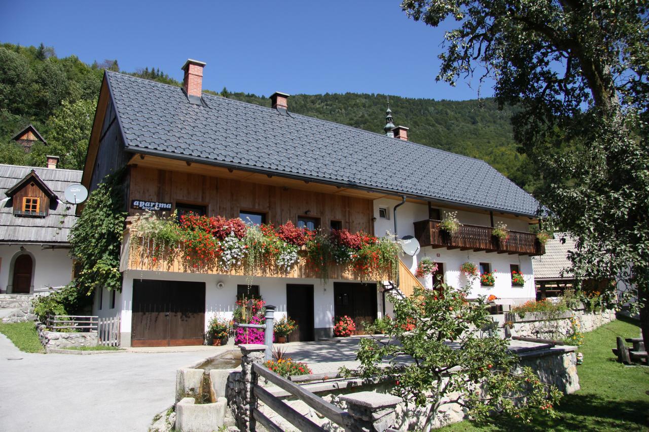 Apartments Kocjanc Bohinj Eksteriør billede