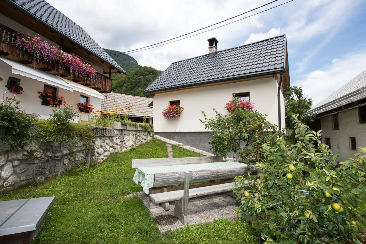 Apartments Kocjanc Bohinj Eksteriør billede